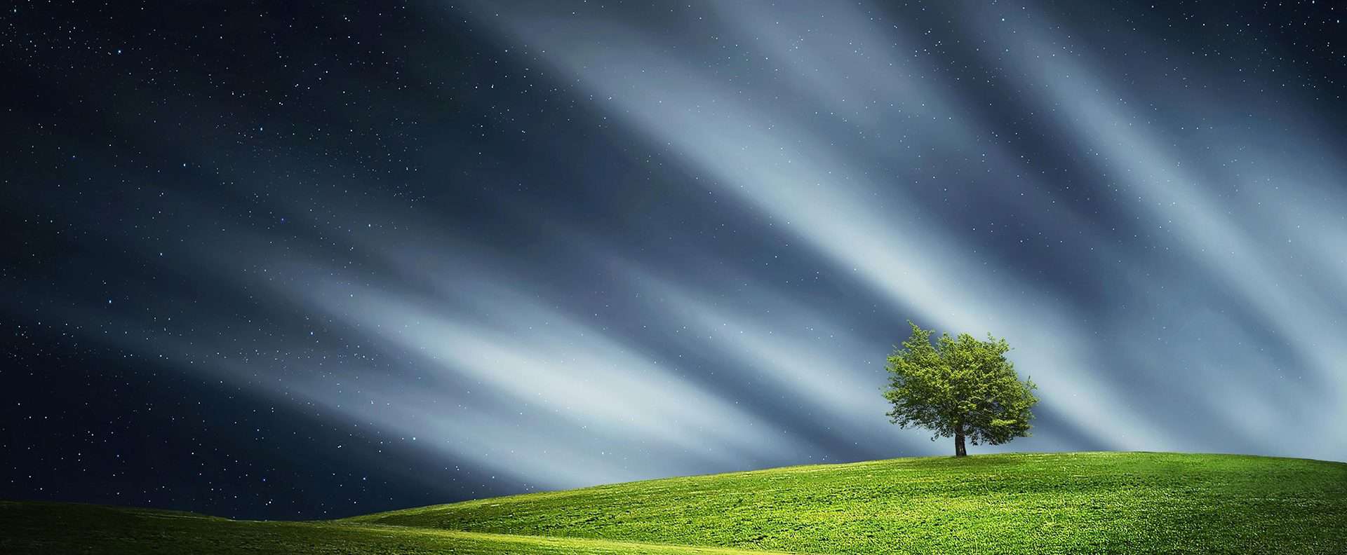 Trauma tree